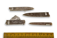 F 04462
<br/>
<br/>
<em></em>